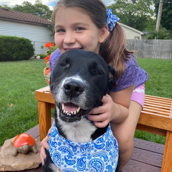 our sweet one eyed girl, best family dog we could have ever found!