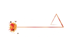 Trifecta Business Strategies