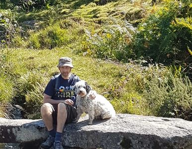 Dog groomer in Cornwall