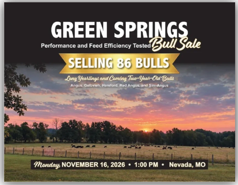 Green springs bull catalog fall 2026