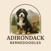 Adirondack Bernedoodles