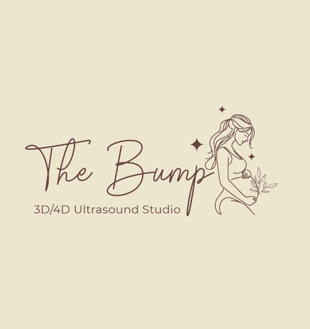 The Bump 3D/4D Ultrasound Studio Logo