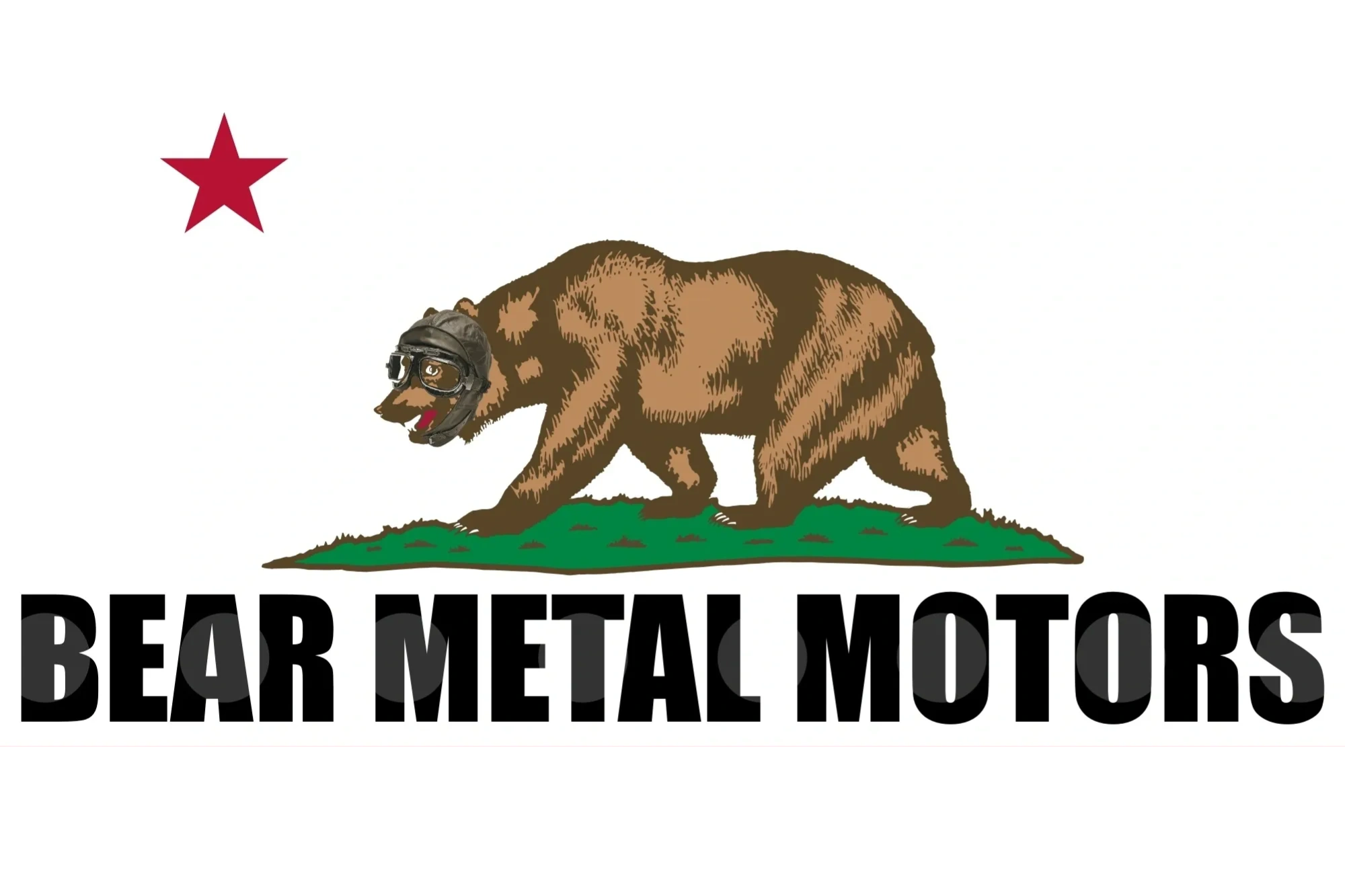 Bear Metal Motors
