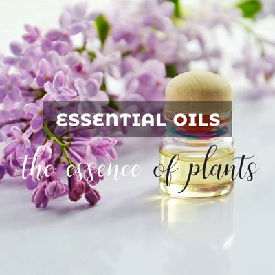 Essential oil, Aromatherapy