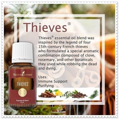 Thieves Oil Essential Oil Blend