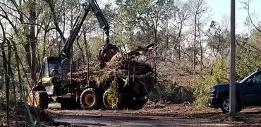 tree service 
tree trimming
tree removal
limb trim
bush 
stump grinding
land clearing
FEMA
arborist