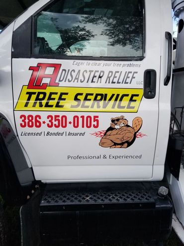 Tree Services
Tree Pruning
Tree Trimming
Stump grinding
Tree removal
Land Clearing