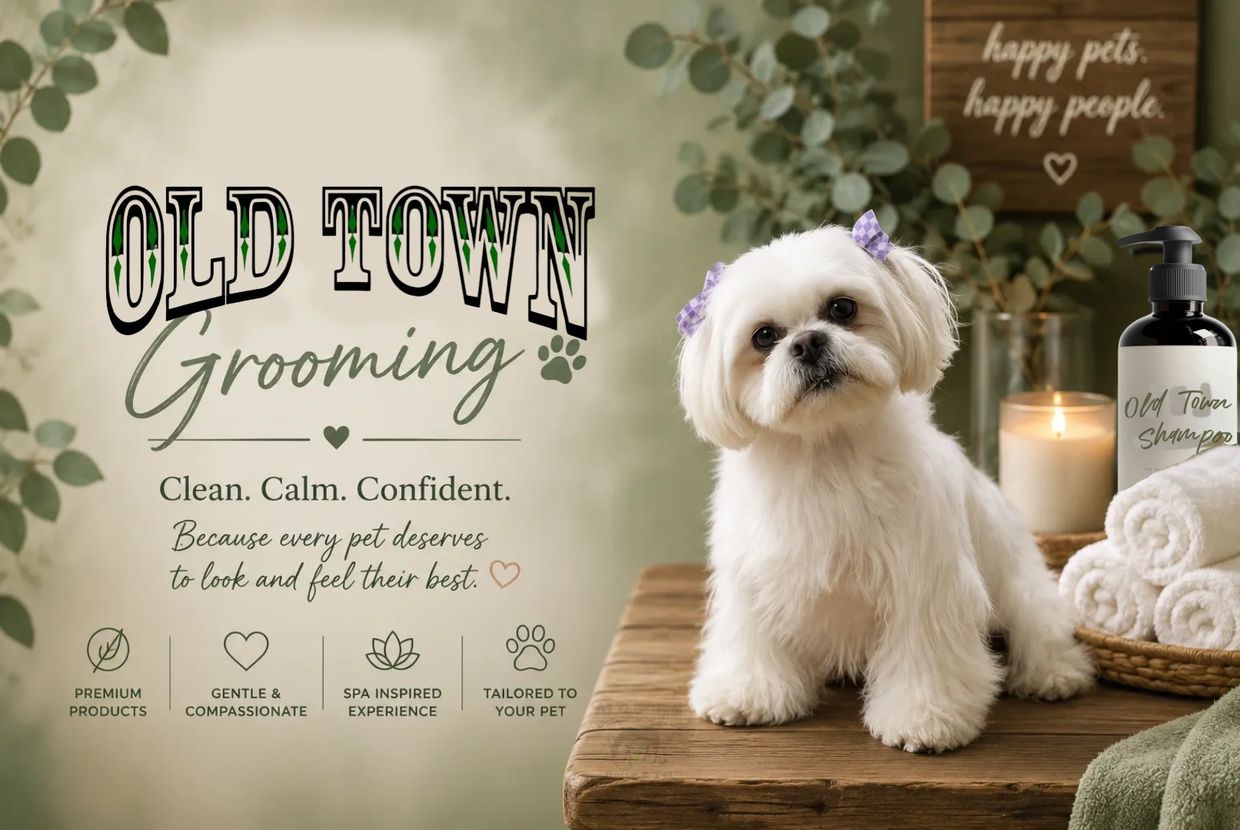 Grooming banner featuring a groomed dog sitting on a grooming table surrounded by a calm room.