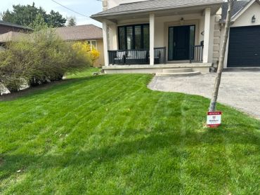 Well-maintained green lawn in front of a house with a porch and driveway.