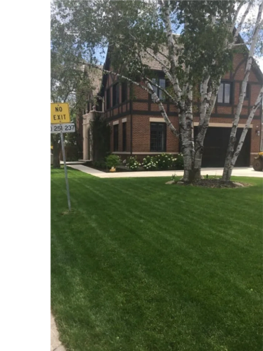 Green lawn and birch trees in front of a brick house with a No Exit sign.