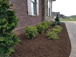 Landscaping
Sidewalk Landscaping
Front entry Landscaping