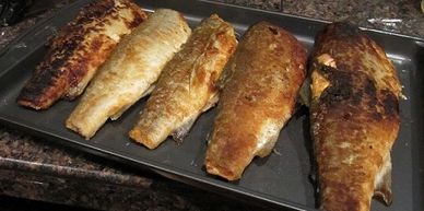 Learn how to cook your catch! 