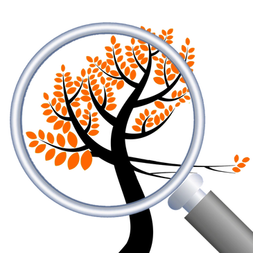 Tree Reveal logo