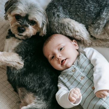 Baby lying on the floor beside a black and white dog