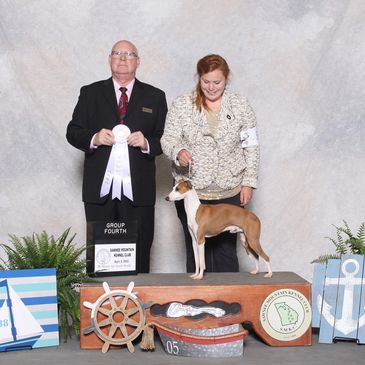 A dog wins group fourth place at a dog show with two handlers.