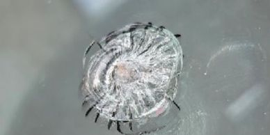 Chip repair on car windshield
