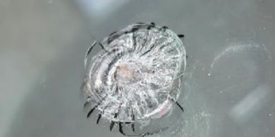 Chip repair on car windshield