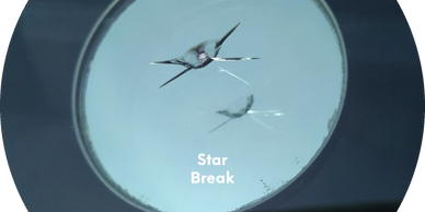 windshield chip repair near me