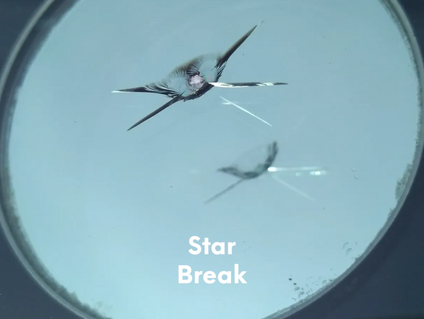 Star break in the windshield.