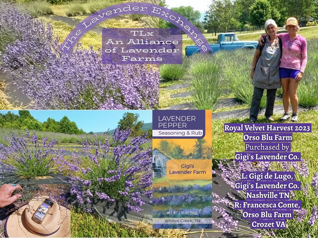 The Lavender Exchange is a Farmer-to-Farmer resource for lavender harvests and products. [Gigi named