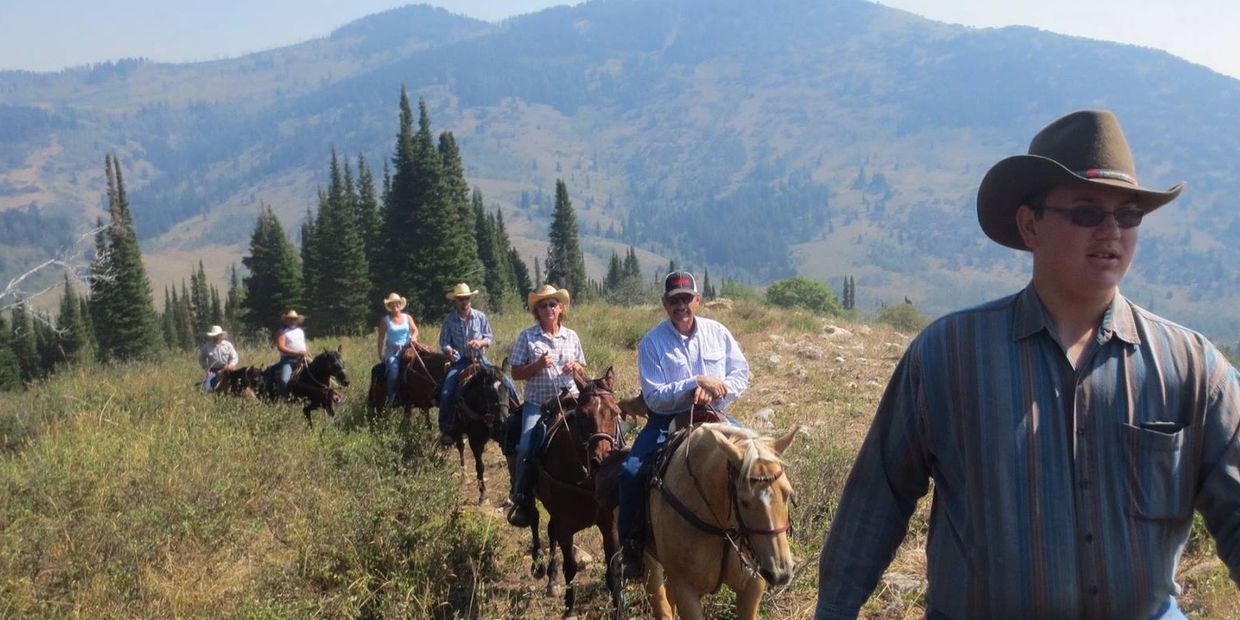 Horses coming up the trail.