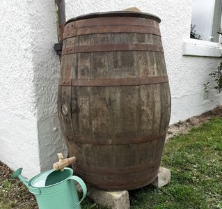sherry cask whisky barrel used as a water butt with a wooden spigot tap by wee dram barrel creations