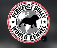 Perkfect Bully World