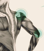 Somatic Touch Bodywork Programs