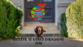 World Dachshund Day