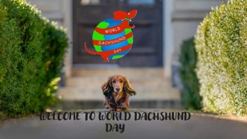 World Dachshund Day