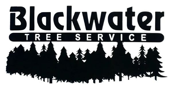 Logo for Blackwater Tree Service with tree silhouettes.