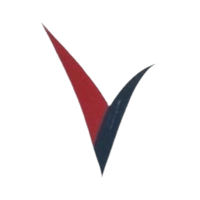 Vertex Search USA