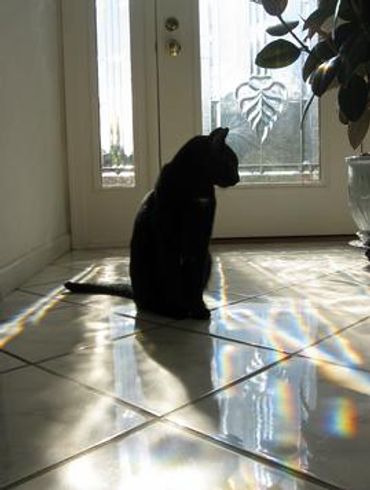 Sad he can't go outside