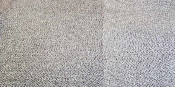 A carpet with a noticeable color difference in the middle.
