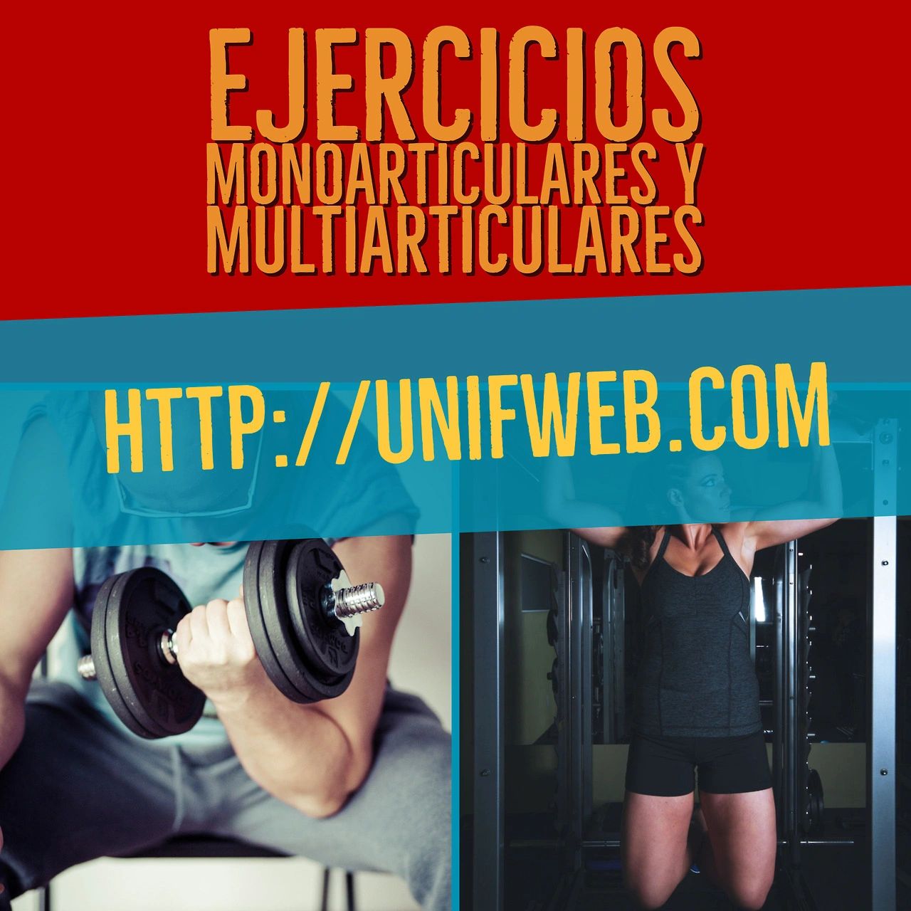 Ejercicios Monoarticulares Y Multiarticulares 1262