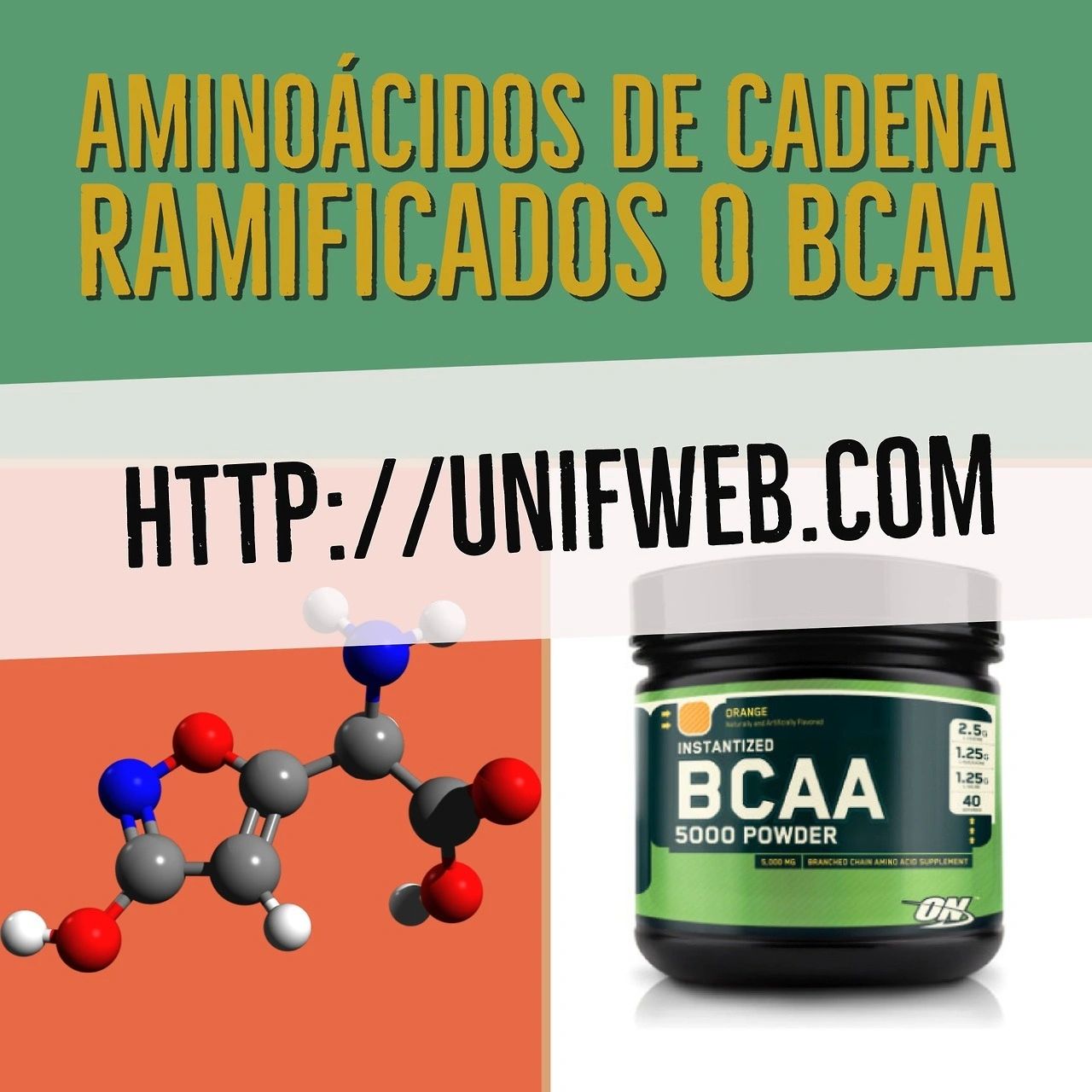 Aminoácidos de cadena ramificada o BCAA