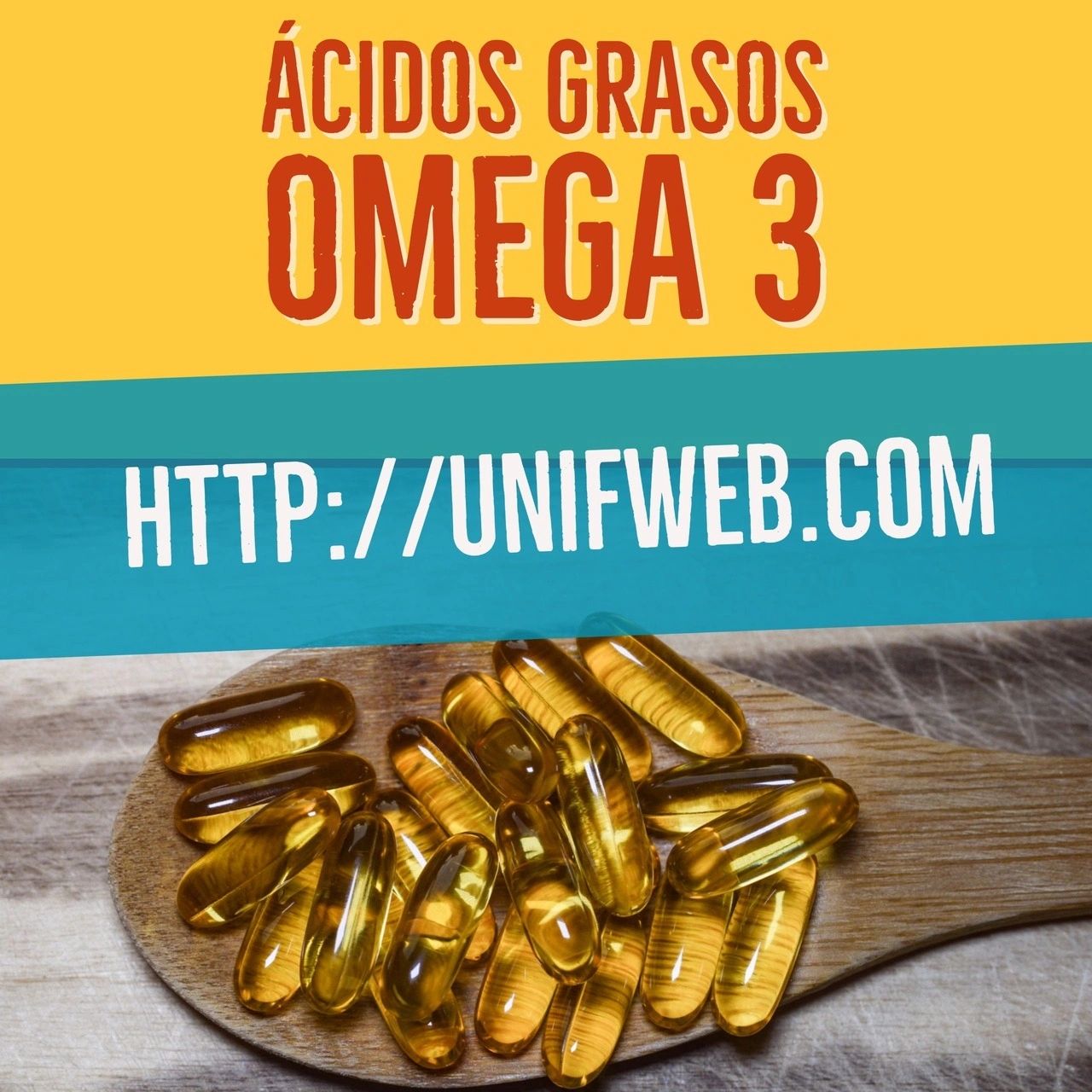 Ácidos Grasos Omega 3