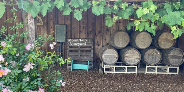 Vineyard setting with barrels and flowers.