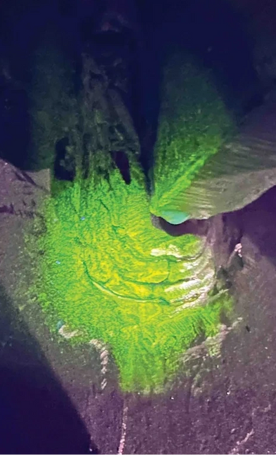 NDT, nondestructive testing, MT, magnetic particle, wet fluorescent, dry powder 