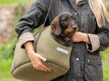 Wag & Bone Mutts & Hounds Carrier