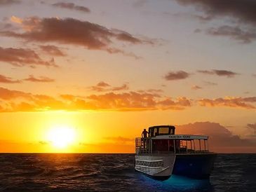 private whale watching tour kauai