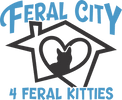 FERAL CITY 4 FERAL KITTIES