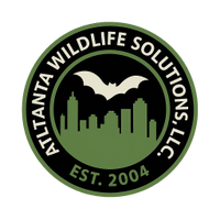 Georgia Beaver Removal