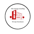 Wisesynergyconsulting