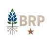 Bluebonnet Resilience Park