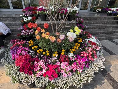 Colorful circular flower arrangement around a small tree outdoors.
