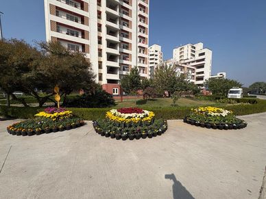 Flower pots arranged in patterns outside a residential building on a sunny day.