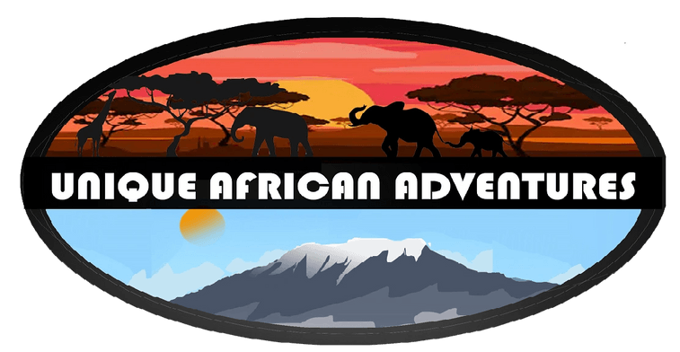 Unique African Adventures