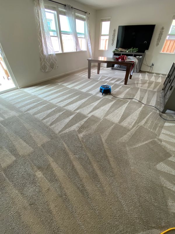 Carpet Cleaning