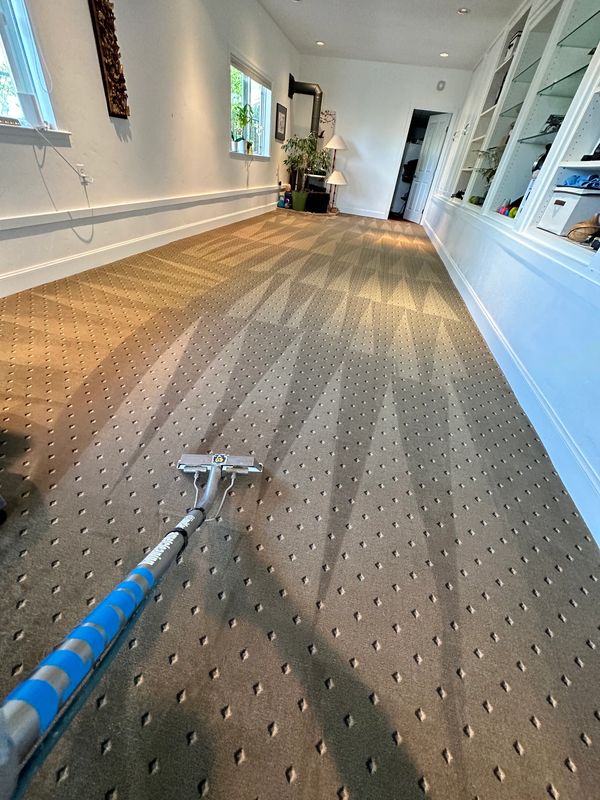 Carpet Cleaning Santa Cruz Shop